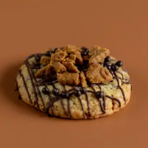 Cookie Speculoos speculaas melk puur chocolade koek